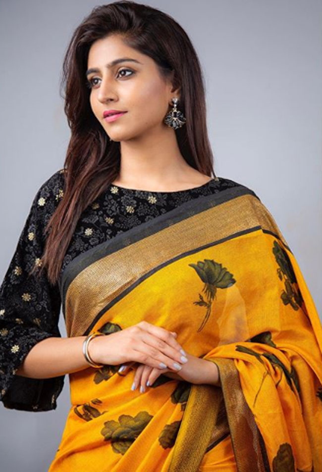 Varshini Sounderajan Latest Instagram Pics